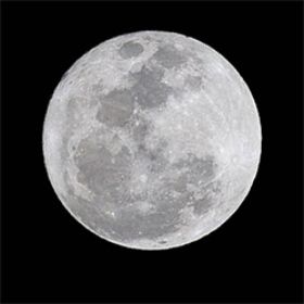 Luna copia.jpg